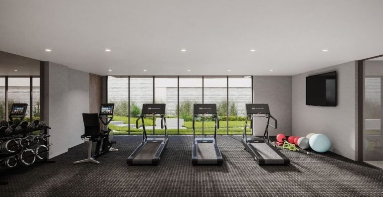 Stela - Gimnasio